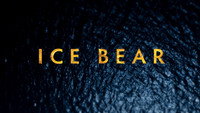 «Polar Bears: Ice Bear (2013)» — обои к фильму #4