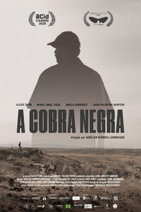 Imagem do Filme La Couleuvre noire