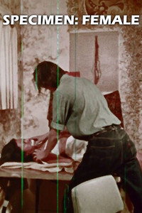 Постер фильма «Specimen: Female (1971)» — (2 из 12)