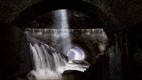 The Sewer King