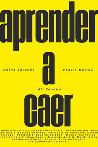 Aprender a Caer