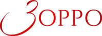 Логотип сериала «Зорро (2024)» — (1 из 18)