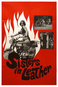 Постер фильма «Сестрички в коже (1969)» — (3 из 6)