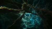 Обои к сериалу «История Вселенной (2022)» — (28 из 69)