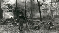 «Продажная жизнь (1976)» — обои к фильму #1