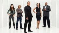 «Живая мишень (2010-2011)» — обои к сериалу #4