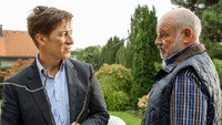 «Alles Fleisch ist Gras (2014)» — обои к фильму #4
