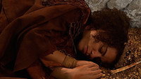 «Dames et princes de la Préhistoire (2021)» — обои к фильму #10