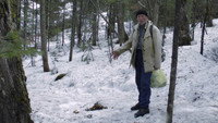 «Территория свободы (2014)» — обои к фильму #1