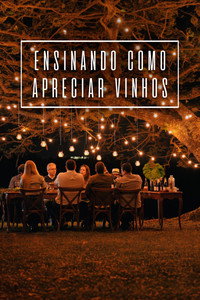 Ensinando Como Apreciar Vinhos [L]