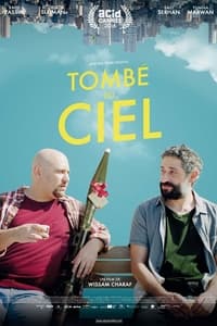 Tombé du ciel (2016)