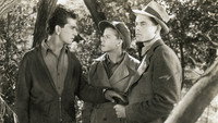 «Небо с забором колючей проволоки (1939)» — обои к фильму #1