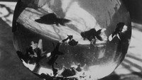 «Bocal aux poissons-rouges (1895)» — обои к фильму #1