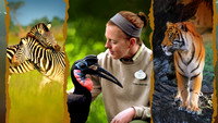 «Magic of Disney's Animal Kingdom (2020)» — обои к сериалу #1