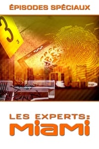 Les Experts : Miami (2002) 