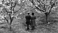 Обои к фильму «Измена (1964)» — (17 из 22)