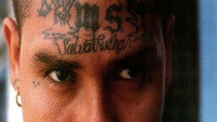 «Hijos de la guerra (2007)» — обои к фильму #1
