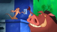 «Wild About Safety: Timon and Pumbaa Safety Smart at Home! (2008)» — обои к мультфильму #1