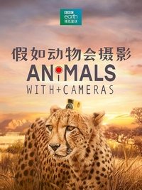 Animals with Cameras - Season 1