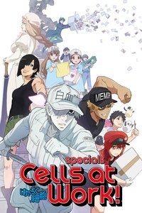 Season 0 Poster