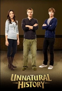 Постер сериала «Невероятная история (2010)» — (3 из 4)