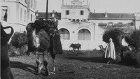 «Sousse: Marché aux charbons (avec chameaux) (1896)» — обои к фильму #1
