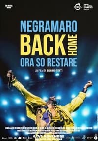 Poster de Negramaro Back Home - Ora so restare