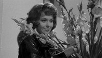 «Любовник на 5 дней (1961)» — обои к фильму #1