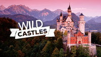 «Wild Castles (2017)» — обои к сериалу #2