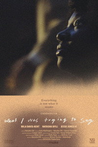 What I Was Trying to Say subtitle poster