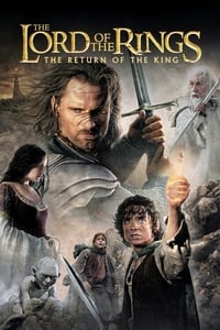 Download The Lord of the Rings: The Return of the King (2003) Dual Audio {Hindi-English} 480p [800MB] || 720p [1.9GB]