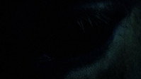 «Сон объял ее дом (2017)» — обои к фильму #1