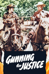Gunning for Justice