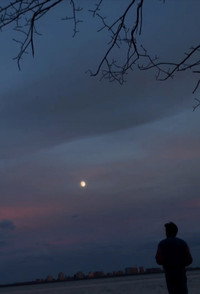 I´m  stupid
