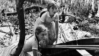 «Никогда не бери сладости у незнакомых (1960)» — обои к фильму #9