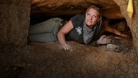 Egypt's Treasure Guardians