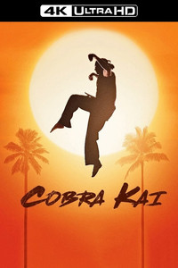 Постер сериала «Кобра Кай (2018-2025)» — (34 из 146)