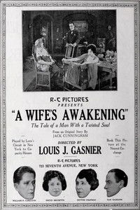 Poster do Filme A Wife's Awakening