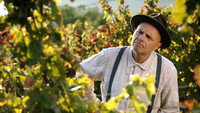 «From the Vine (2019)» — обои к фильму #1