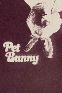 Pet Bunny