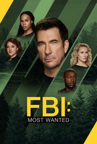 Постер сериала «ФБР: Самые разыскиваемые преступники (2020-2025)» — (25 из 71)