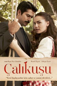 Poster de Çalıkuşu