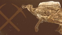 «Secrets of the Dinosaur Mummy (2008)» — обои к фильму #1
