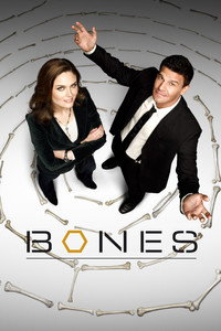 Постер сериала «Кости (2005 - 2017)» — (7 из 181)