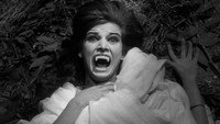 «Убийца вампиров (1962)» — обои к фильму #1