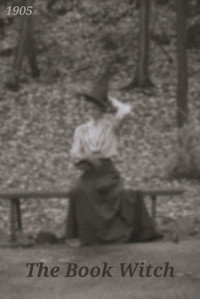The Book Witch (1905) Silent Film (2018) poster