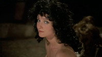 «Продолжая преследовать соседку (1974)» — обои к фильму #1