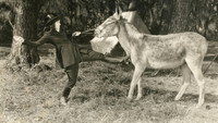 «Little Miss Rebellion (1920)» — обои к фильму #1