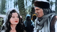 «Красный шейх (1962)» — обои к фильму #1