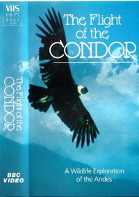 The Flight of the Condor (1985) subtitle poster